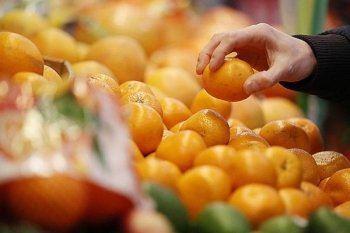 Роскачество: Продавцы выдают марокканские мандарины за абхазские 