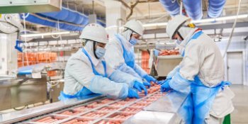 Московские предприятия пищевой промышленности в 2025 году нарастили оборот почти на 16%