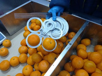 «Лента» начала использовать ИИ в удаленной приемке овощей и фруктов