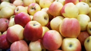 «Магнит» продолжает наращивать поставки российских яблок в свои магазины