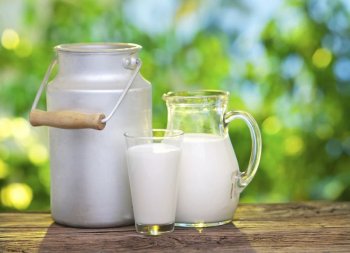 Производство молока в России выросло на 3,1%