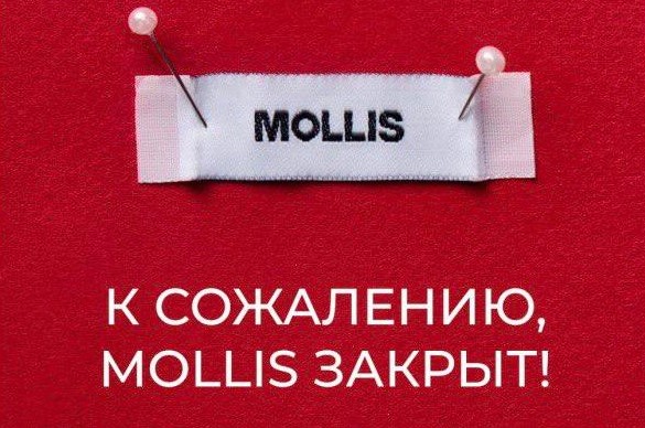 Mollis закрыл магазины и онлайн-платформу
