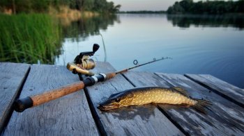 «СберМегаМаркет»: россияне проводят все больше времени за рыбалкой
