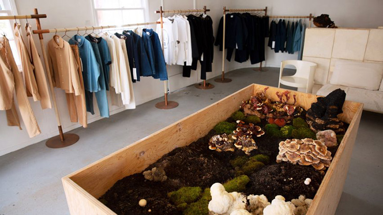 Биофильный мерчандайзинг для магазинов одежды и лучшие примеры его воплощения в мировом Fashion бизнесе