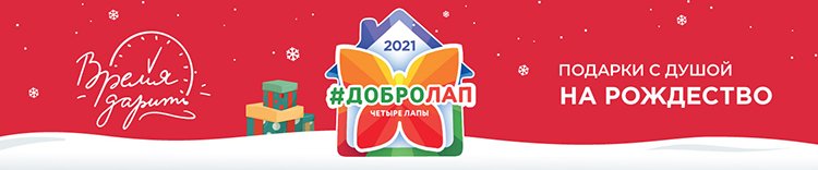 Новогодние благотворительные проекты в российском ритейле