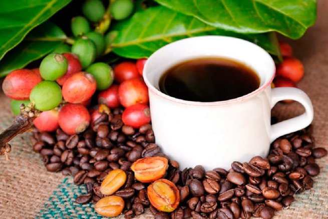 Дорогие ягоды: из-за политики в Эфиопии в России снова может подорожать кофе