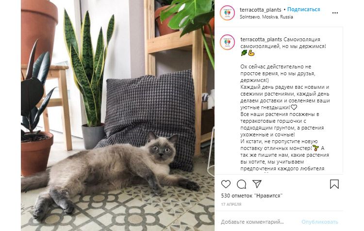 Шоколад, пряники, цветы: владельцы малого бизнеса о том, как выживали в пандемию, и какой инструмент в этом помог Шоколад, пряники, цветы: владельцы малого бизнеса о том, как выживали в пандемию, и какой инструмент в этом помог