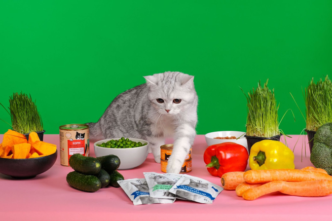 «ВкусВилл»: почти каждый десятый покупатель называет своих питомцев в честь продуктов