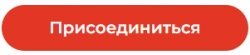 Бизнес-инсайты, новые знакомства и вдохновение: итоги встречи Скорозвон-Клуба в АШАН