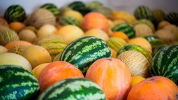 В России зафиксирован рост розничных цен на бахчевые культуры