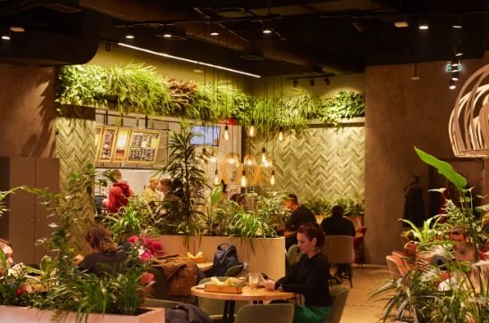 «Теремок» тестирует новый формат ресторанов.jpg