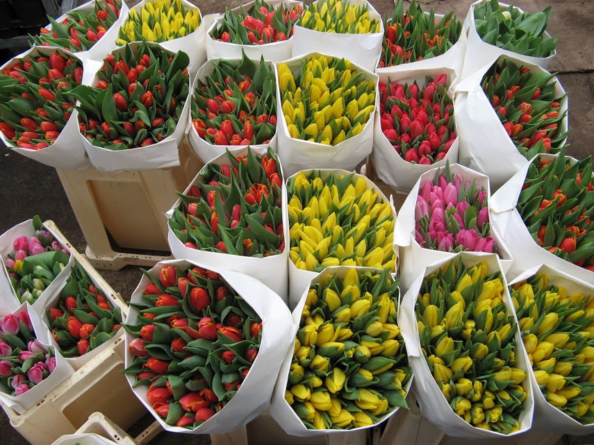Миллиард алых роз: как заработать на торговле цветами