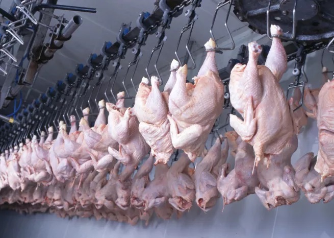 Цена на куриное мясо в России побила исторический рекорд