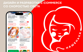 Как за 3,5 месяца запустить интернет-магазин продуктов