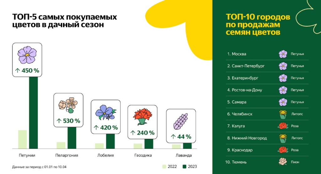 Яндекс Маркет назвал самые популярные цветы для сада