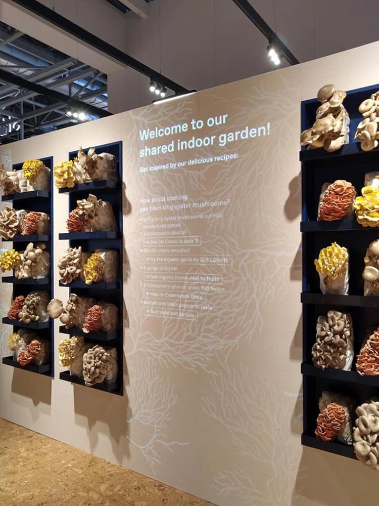 EuroShop 2020: российские эксперты о недавних трендах, которые стали реальностью ритейла EuroShop 2020: российские эксперты о недавних трендах, которые стали реальностью ритейла