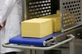 Производителей молочной продукции проверят на фальсификат