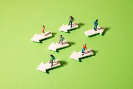 От стажёра до директора: реальные кейсы карьерных треков в сети «Спортмастер»