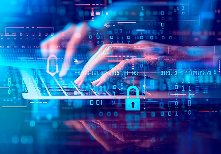 Сайт под прицелом: три эффективных способа защитить от взлома малый бизнес