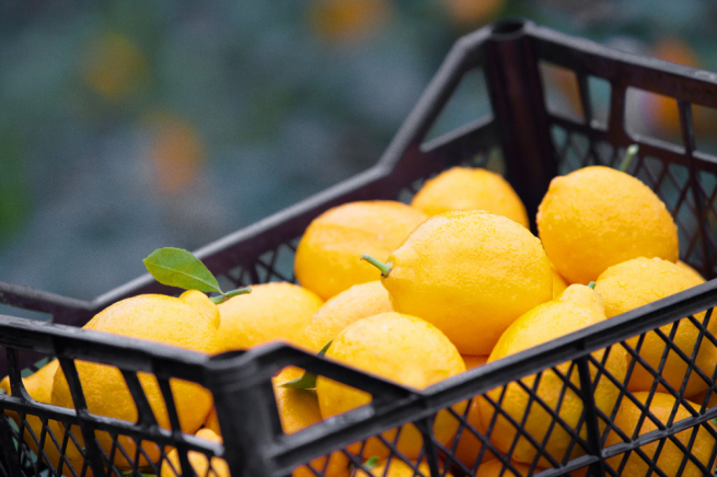 «Магнит» фиксирует увеличение спроса на цитрусовые и «согревающие» продукты.jpg