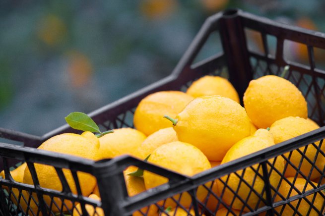 «Магнит» фиксирует увеличение спроса на цитрусовые и «согревающие» продукты.jpg