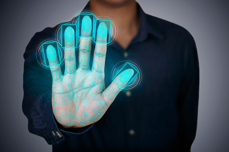 Узнать из тысячи: основные биометрические технологии, применяемые в ритейле