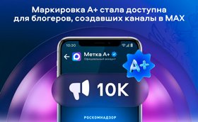 РКН: MAX официально получил статус соцсети