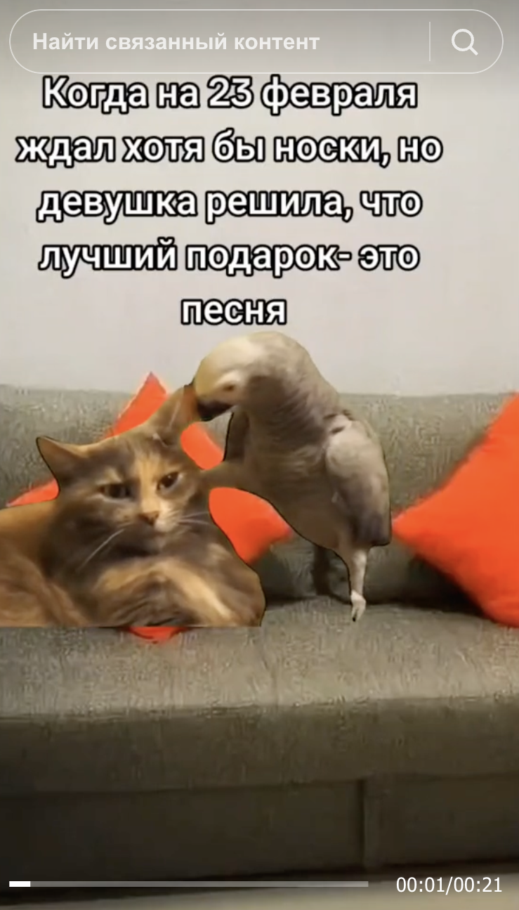 Новые тренды в подготовке к 23 февраля: как меняется выбор подарка в эпоху осознанного потребления Новые тренды в подготовке к 23 февраля: как меняется выбор подарка в эпоху осознанного потребления