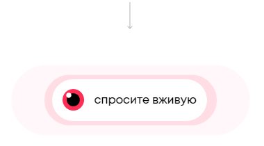 «А можно его пожа́мкать?»: Драгорад Кнези о том, как товарные live-video увеличивают конверсию