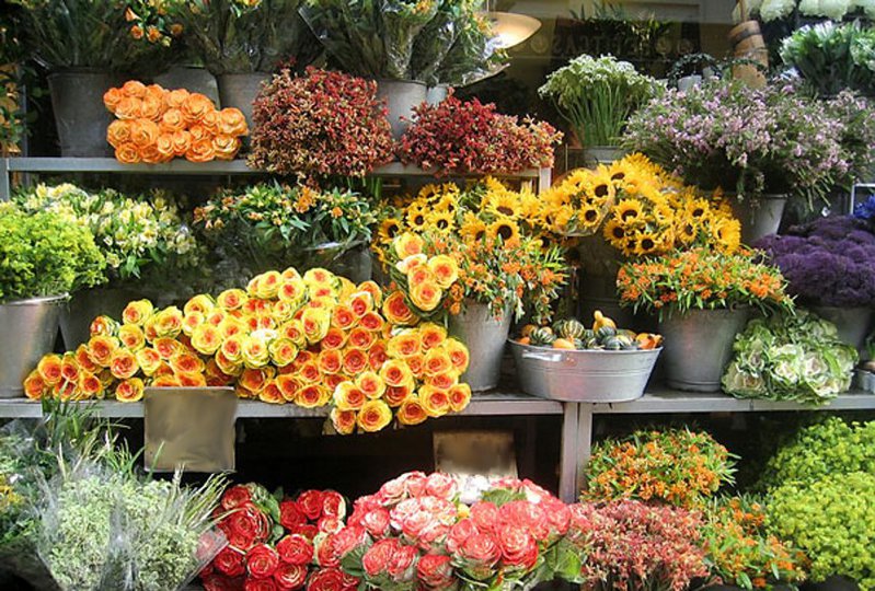 Миллиард алых роз: как заработать на торговле цветами