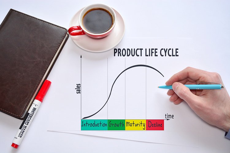 Жизненный цикл товара: от производителя до полки супермаркета