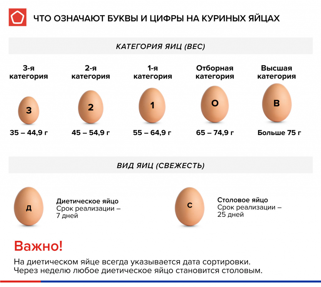 Инфографика_Яйца.jpg