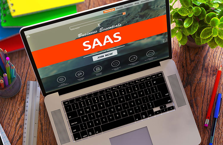 Оптимизация IT- затрат в цепи поставок в формате SaaS