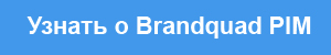 PIM-систему Brandquad включили в Реестр российского ПО