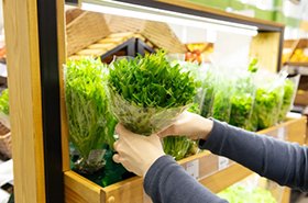 «ВкусВилл» увеличил продажи свежей зелени на 200%