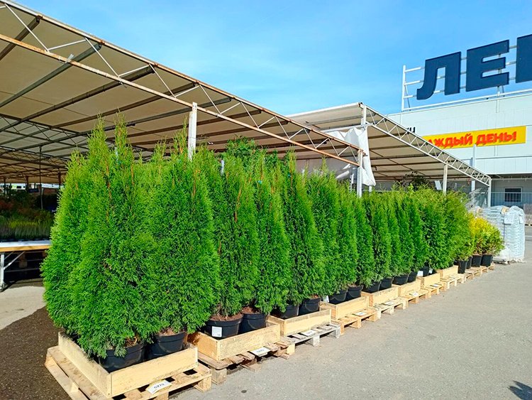 Алексей Шамов, «Лемана ПРО»: «Мы не можем сказать клиенту: “Извините, партнер подвел”»