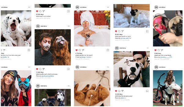 Как фото собак из Instagram, размещаемых их хозяевами, стали визуальной основой для упаковки