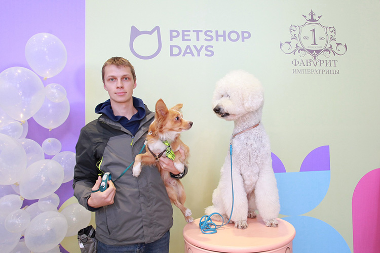 Как PetShop добился бесперебойности касс, усовершенствовал программу лояльности и помог найти грабителя