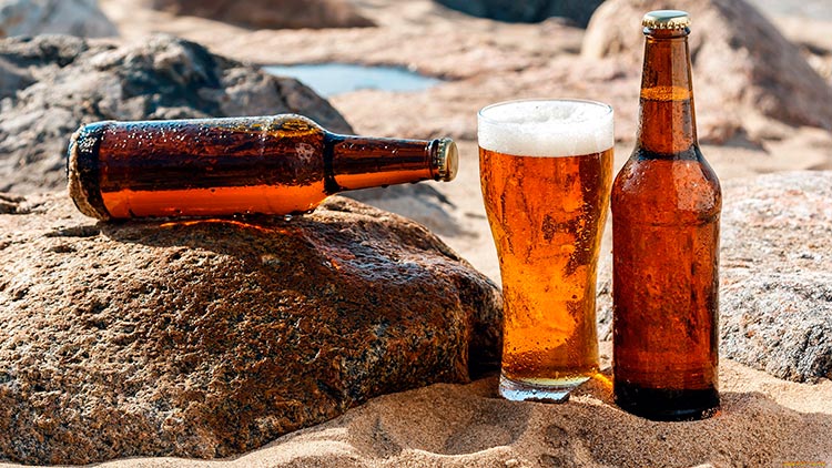 Тренды в развитии пивной отрасли: что изменилось для продавцов пива