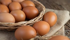 В России на полгода обнулят таможенные пошлины на импорт яиц