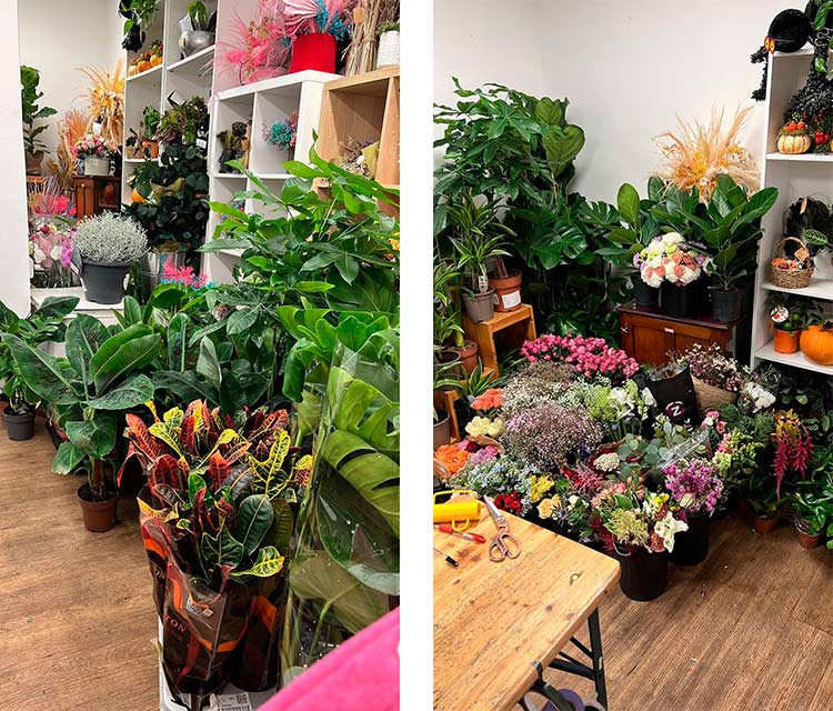 «Продавцы не заморачиваются, клиенты не жалуются»: цветочный бизнес в Лондоне глазами бизнесмена с российским бэкграундом