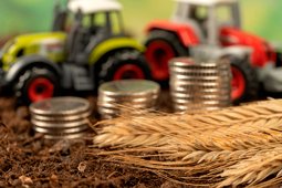 Экспорт агропродукции в Китай вырос на 41% в первом полугодии