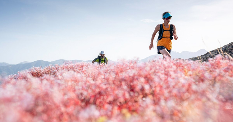 Александр Барсуков, Salomon, Amer Sports Russia: «Для нас важно быть везде, где есть наши потребители»