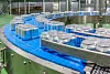Эксперты оценили новые правила маркировки безалкогольного пива